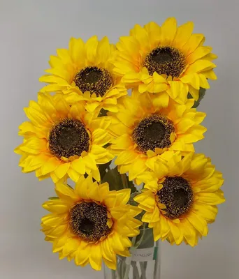 Produktbild von 6er Set künstliche Sonnenblumen gelb H. 62cm mit XXL Blüte Emerald Kunstblumen