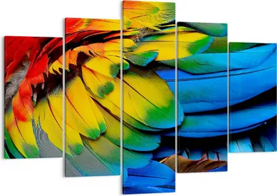 Produktbild von Bild auf Leinwand - Leinwandbild - Feder Papagei Vogel - 150x100cm - Wand Bild - Wanddeko - Leinwanddruck - Bilder - Kunstdruck - Wanddekoration - Leinwand bilder - Wandkunst - EA150x100-3428