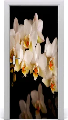 Produktbild von Tulup Türaufkleber 95x205 cm Dekorative Aufkleber Selbstklebend Wasserdichte Tapete Abnehmbar Schlafzimmer Wohnzimmer Wohnkultur - Orchideenen