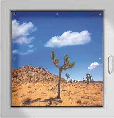 Produktbild von Wallario Lichtschutzbild, Dekorativer Sichtschutz Sonnenschutz 96 x 93 cm mit Motiv: Palmlilie im Nationalpark Yucca Valley  Wüstenlandschaft - Verdunklung ohne Bohren