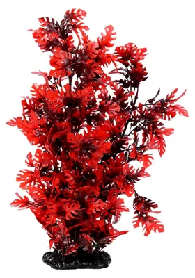 Produktbild von 40 cm Künstliche Aquarium Pflanzen: Rote Plastikpflanzen für die Aquarien-Dekoration
