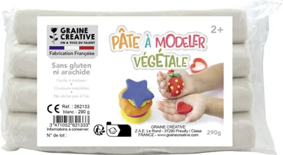 Image de Pâte à modeler végétale blanche