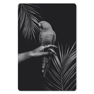 Produktbild von MuchoWow® Mauspad Mousepad Vogel vor schwarzem Hintergrund - schwarz und weiß 18x27 cm - Mousepads - Maus Mat - Pad - Mausunterlage