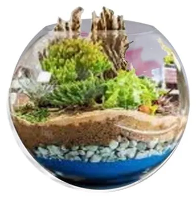 Image de Bulle décorative pour Mini-Jardin en lévitation BABYLONIA