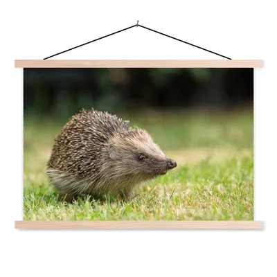 Produktbild von MuchoWow® Textilposter Igel im Garten 120x80 cm mit holzfarbenen Rahmen - Aufhängeset