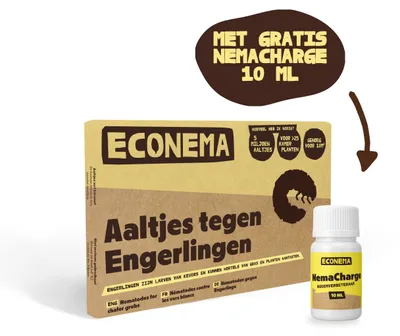 Productafbeelding van Econema Aaltjes tegen engerlingen – gele plekken en loslatend gras in het gazon – 10 m²