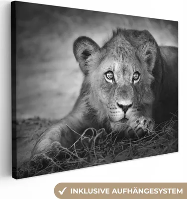 Produktbild von MuchoWow® - Leinwandbilder - Wildtiere - Löwe - Natur - Schwarz - Weiß, Wandbild, Wanddeko Bilder Wohnzimmer, 120x90 cm
