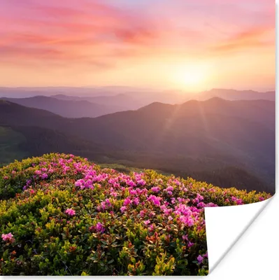 Produktbild von MuchoWow® Poster Blumen - Berg - Sonnenuntergang - Landschaft 100x100 cm - Babyzimmer