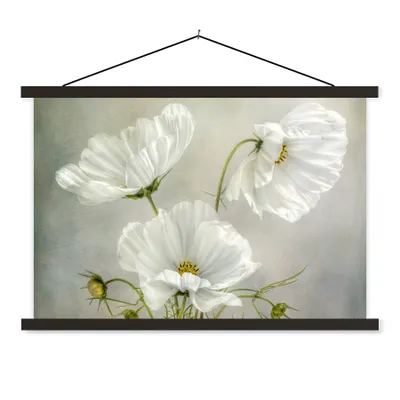 Produktbild von MuchoWow® Textilposter Blumen - Stillleben - Mohn - Weiß - Botanisch 90x60 cm mit schwarzem Rahmen - Aufhängungssatz