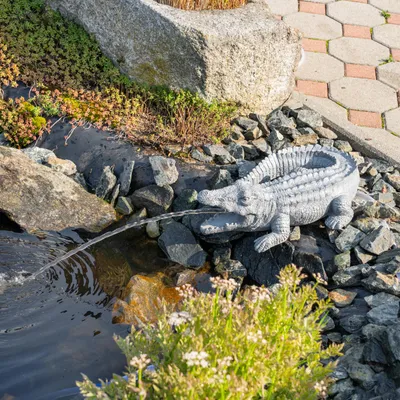 Produktbild von esotec Solar Wasserspeierset Krokodil liegend mit Teichpumpen-Komplettset 101670
