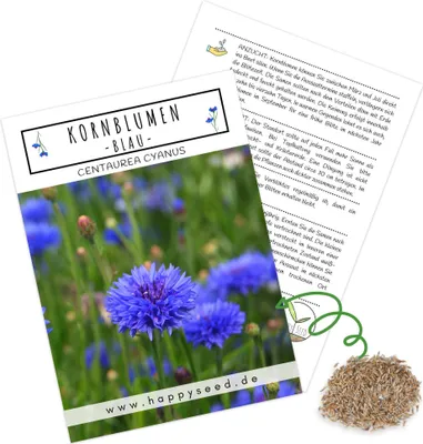Produktbild von Kornblumen Samen (Centaurea cyanus) - Wunderschön leuchtende Blumen mit langer Blütezeit für eine bunte Blumenwiese (Blau, 1000 Korn, 80 cm)