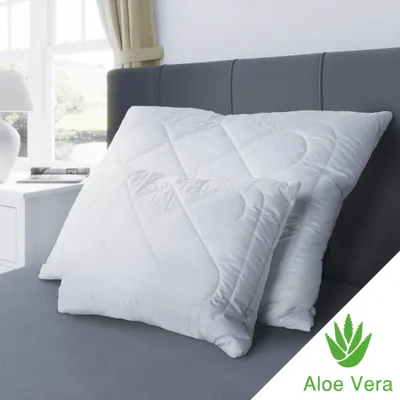 Obrázok produktu pre Vankúš ALOE VERA 70x90cm Aljaška zips 900g