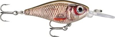 Produktbild von Rapala X-Light Shad (Live Roach)