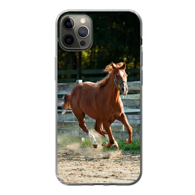 Produktbild von MuchoWow® Handyhülle Schutzhülle Hülle für iPhone 13 Pro Max Pferd - Licht - Sand Silikon Softcase Handy Hülle - Mobiltelefon
