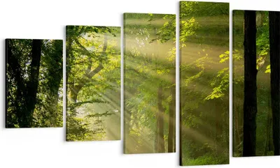 Produktbild von Bild auf Leinwand - Leinwandbild - Wald Baum Natur - 100x60cm - Wand Bild - Wanddeko - Wandbilder - Leinwanddruck - Bilder - Kunstdruck - Wanddekoration - Leinwand bilder - Wandkunst - EG100x60-3661