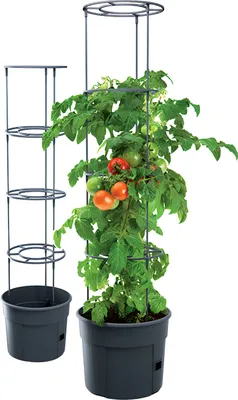 Obrázek produktu pro Prosperplast Plastový květináč TOMATO GROWER 12 l pro pěstování rajčat - IPOM300-S433