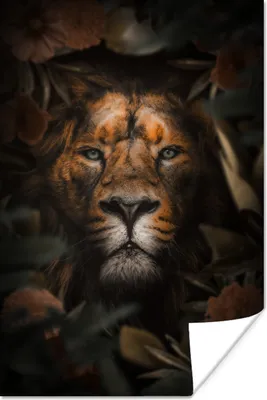 Produktbild von MuchoWow® Poster Löwe - Dschungel - Schwarz 80x120 cm - Papierdruck
