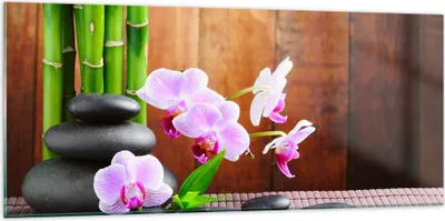 Produktbild von Bilder auf glas - Bambus Dekoration Blume Orchidee - 120x50cm - Glasbilder - Wandbilder - Kunstdruck - zum Aufhängen bereit - Wanddekoration aus Glas - Glas Bilder - Wandbild auf Glas - GAB120x50-2167