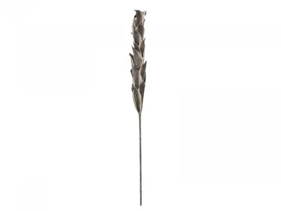 Productafbeelding van EUROPALMS Kunstuil met veren, 110 cm (artikelnummer: 82532004)