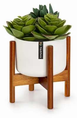 Image de Fox & Fern Porte Plante Interieur, Support de Plantes en Bois avec son Pot de Fleur Interieur, Support avec Pots de Fleurs Extérieur Robuste et Réglable, Etagère Plante en Bambou, Facile à Assembler