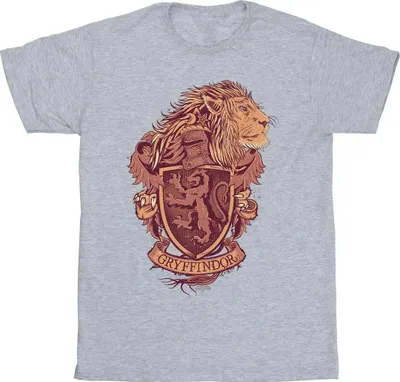 Produktbild von Harry Potter - "Gryffindor" T-Shirt für Herren BI31024 (5XL) (Grau)