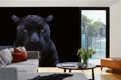Produktbild von Vlies Fototapete SCHWARZER PANTHER 375 x 250 cm (inkl. Kleister) - Vlies Tapete, Wandtapete, Wandbilder - Tapete für Wohnzimmer Schlafzimmer, Büro, Küche - Montagefertig