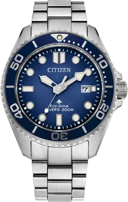 Image de Seulement le temps Citizen Argent Avec Vis Collection Promaster - homme