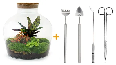 Produktbild von Flaschengarten "Fat Joe" ROT DIY-Pflanzen-Terrarium 30cm incl. Rechen, Schaufel, Pinzette und Schere