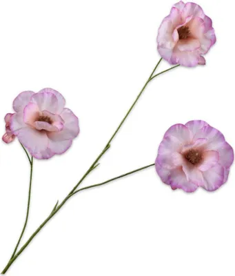 Produktbild von Kunstblume von Silk-ka – Seidenblumen-Lisianthuszweig, rosa, 72 cm