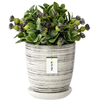 Produktbild von Blumentopf Blumenübertopf weiß gewischt Blumenschale mit Untersetzer Rund BxH 320 mm x 345 mm Oberfläche Glanz Keramik Modern Glamour