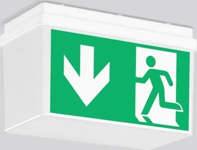 Image de Luminaire à pictogramme à LED RZB 652520.002