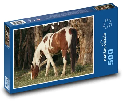 Zdjęcie produktu dla Puzzle 500 Koń na łące - martinpuzzle