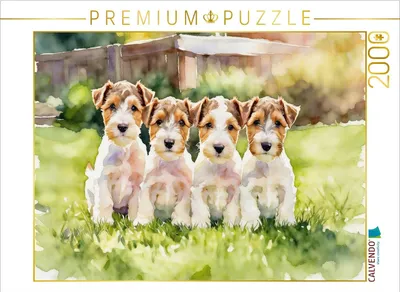 Produktbild von CALVENDO Puzzle Drahthaar Foxterrier | 2000 Teile Lege-Größe 90x67cm Foto-Puzzle für glückliche Stunden