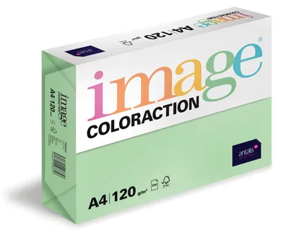 Image de Kopa A4 GrünMix Coloraction, 250Bl, 120g