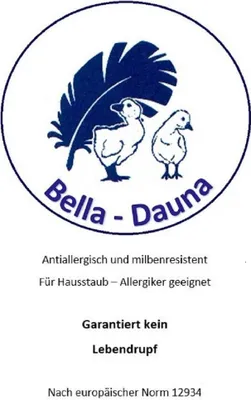 Produktbild von Betten Hofmann Kopfkissen 50x50 Kleinkissen Kissen Federkissen 550 g prall 30% Daunen