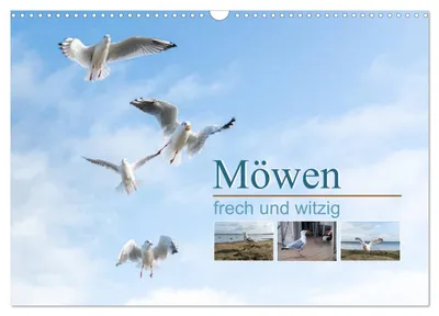 Produktbild von Möwen frech und witzig (Wandkalender 2027 DIN A3 quer), CALVENDO Monatskalender