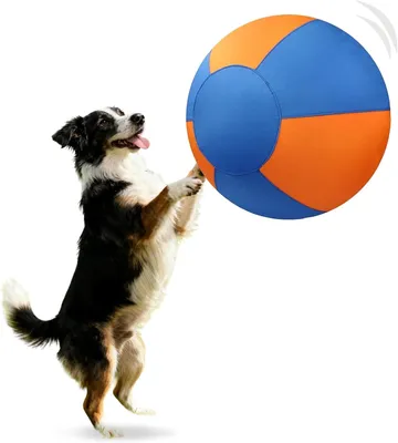 Produktbild von Hüteball für Mittelgroße und Große Hunde Blau-orange Aufblasbarer Hundeball Interaktives Spielzeug Selbstunterhaltender Trainingsball für Australian Shepherd, Border Collie (Größe S: 45 cm)