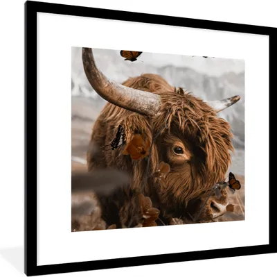 Produktbild von MuchoWow® Gerahmtes Poster Schottischer Highlander - Schmetterling - Tiere 40x40 cm - Poster mit Schwarzem Bilderrahmen Wandposter Rahmen Foto Bilder - Poster - Plakat im Rahmen