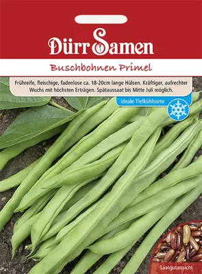 Produktbild von Dürr-Samen - Buschbohnen Primel - Saatgut - 0307