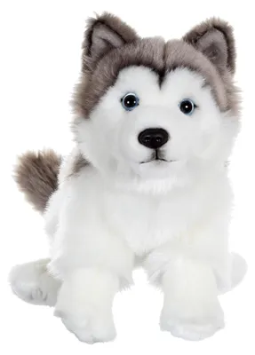 Obrázek produktu pro Solidchoice - Plyšová hračka Husky, 25 cm, pro děti