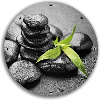 Produktbild von Wallario rundes Outdoor-Poster für Garten oder Balkon, Motiv Bambustrieb auf schwarzen Steinen, benetzt mit Wasser-Tropfen, 30 cm Durchmesser