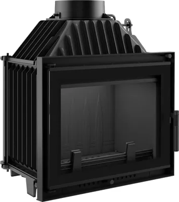 A black metal fireplace insert with a glass door.