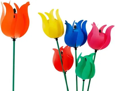 Image de Tulipe 45 cm MIX - ADAR