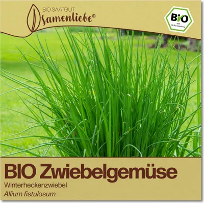 Produktbild von Lauch Samen Winterheckenzwiebel Gemüse-Samen Saatgut Lauchsamen