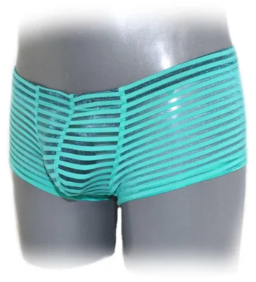 Produktbild von Transparent Stripe Pants Hauch dünn
