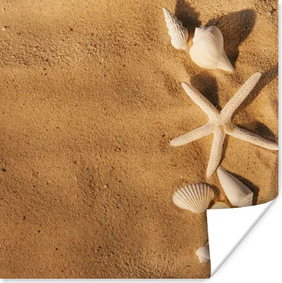 Produktbild von MuchoWow® Poster Seesterne - Muscheln - Sand 75x75 cm - Wand Dekoration