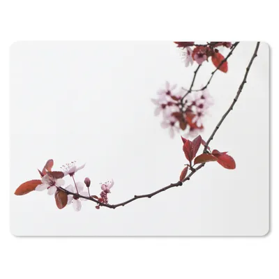 Produktbild von MuchoWow® Mauspad Mousepad Blumen - Blüte - Kirschbaum 23x19 cm - Mousepads - Maus Mat - Pad - Mausunterlage - Schreibtischunterlage - Mauspad