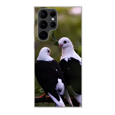 Produktbild von MuchoWow® Handyhülle Schutzhülle Hülle für Samsung Galaxy S22 Ultra Vögel - Zweig - Blätter Silikon Softcase Handy Hülle - Abbildung