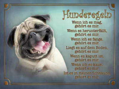 Produktbild von vianmo Holzschild 30x40 cm Hunderegeln wenn ich es mag