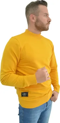 Produktbild von Sweatshirt Hoodies Royyen 2599 mit hochgeschlossenem Ausschnitt Herren – DUNKEL GELB / S